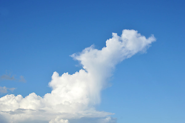 포토 JPG 해외이미지 구름 계절 하늘색 백그라운드 패턴 자연 하늘 날씨 추상 풍경 사람없음 야외 여름 파란색 빛 햇빛 태양 평화 우주 환경 맑음 침묵 자유 흰색 분위기 장면 천국 솜털 흐림 오존 해외202004 해외포토 자연요소 컬러 컨셉 무늬 소리 생태계 파일형식 이미지허브