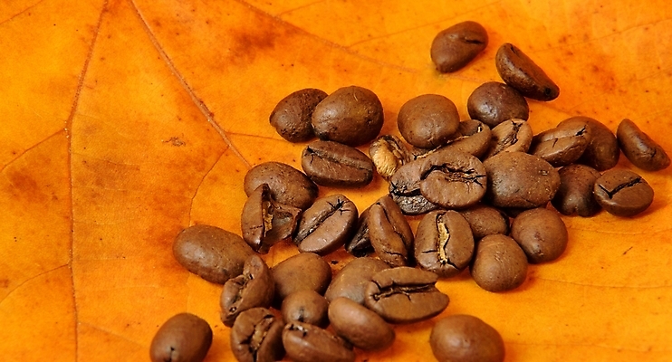 포토 JPG 해외이미지 커피 단풍 잎 오렌지 콩 사람없음 갈색 원두 가을 신선 굽기 토스트 카푸치노 에스프레소 흙더미 모카 해외202004 해외포토 식물 계절 음료 빵 컬러 과일 곡류 흙 구이 파일형식 더미 이미지허브