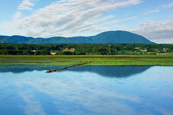 포토 JPG 해외이미지 나무 구름 꽃 유럽 호수 자연 하늘 아침 스웨덴 갈대 풍경 사람없음 물 여름 파란색 빛 컬러풀 햇빛 평화 일출 침묵 새벽 안개 가을 나뭇가지 숲 속도 무거움 8월 뿌연 스칸디나비아 슬로베니아 정확 해외202004 해외포토 주간 자연요소 식물 계절 나라 컬러 컨셉 날씨 북유럽 태양 노을 소리 날짜 무게 생태계 파일형식 이미지허브