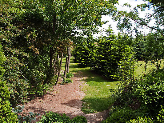 포토 JPG 해외이미지 나무 식물 공원 꽃 길 백그라운드 잎 건축양식 자연 주택 풍경 잔디 사람없음 야외 장식 가로 초록색 여름 평화 환경 정원 침묵 봄 벚꽃 바위 재산 그늘 원예 조경 장면 내추럴 해외202004 해외포토 계절 공공시설 건축 컬러 컨셉 취미 건물 금융 소리 돌_바위 생태계 파일형식 이미지허브