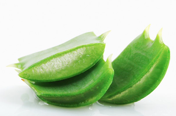 포토 JPG 해외이미지 식물 꽃 줄기 백그라운드 잎 자연 선인장 건강 사람없음 초록색 물 빛 약 우주 주스 화장품 활발 젖음 사막 성장 흰색 신선 가시 닫기 떨어짐 허브 피부 순수 묘사 피부관리 스파이크 고립 넘어짐 돌봄 알로에 억울 해외202004 해외포토 자연요소 감정 음료 컬러 컨셉 의학 모션 신체부위 뷰티 생태계 파일형식 이미지허브