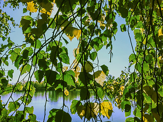 포토 JPG 해외이미지 나무 식물 구름 계절 공원 호수 백그라운드 잎 자연 지팡이 하늘 건조 파노라마 풍경 사람없음 야외 목재 초록색 물 파란색 강 컬러풀 반사 노란색 안개 가을 나뭇가지 시골 황금 숲 언덕 장면 자작나무 내추럴 해외202004 해외포토 자연요소 공공시설 컬러 재료 날씨 촬영기법 생태계 파일형식 이미지허브