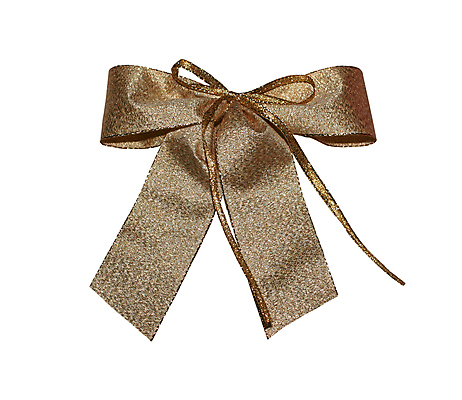 포토 JPG 해외이미지 나무 리본 길 크리스마스 넥타이 휴가 선물 가면 사람없음 장식 빛 금속 수확 황금 고급 은색 12월 자르기 활 주기 매듭 청동 구식 엘리먼트 옛날 포장소품 해외202004 해외포토 식물 잡화 기념일 컬러 컨셉 농업 포장 모션 재질 날짜 오브젝트 포장재료 파일형식 이미지허브