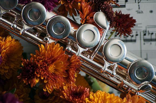 포토 JPG 해외이미지 꽃 음악 뿔 사람없음 해외202004 해외포토 식물 문화예술 파일형식 이미지허브