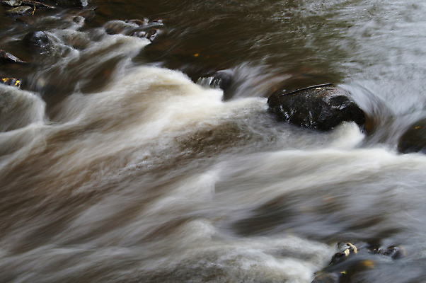 포토 JPG 해외이미지 나무 식물 공원 잎 태국 자연 휴가 휴식 풍경 사람없음 목재 초록색 물 강 봄 폭포 흐름 가을 신선 개울 숲 당구 순수 즐거움 러시아 에메랄드 부드러움 천국 내추럴 삼림지대 파라다이스 현재 해외202004 해외포토 자연요소 계절 공공시설 감정 유럽 아시아 컬러 컨셉 재료 구기 감각 보석 생태계 파일형식 이미지허브