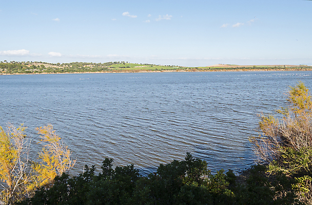 포토 JPG 해외이미지 나무 동물 계절 공원 호수 야생동물 여행 날개 오렌지 가족 자국 자연 조류 휴식 풍경 사람없음 야외 빨간색 초록색 파란색 컬러풀 노란색 평화 환경 침묵 봄 연못 개울 황무지 떨어짐 습지 신화 물새 철새 석호 내추럴 동물상 전국 해외202004 해외포토 식물 공공시설 컬러 컨셉 과일 관계 강 조형물 소리 생태계 파일형식 이미지허브
