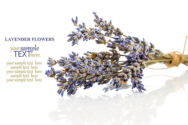 포토 JPG 해외이미지 식물 디자인 꽃 꽃다발 꽃무늬 재료 자연 건강 사람없음 장식 가로 약 정원 보라색 벚꽃 흰색 신선 다발 허브 향수 묘사 원예 향기 아로마 향 아로마테라피 라벤더 조제 내추럴 고립 해외202004 해외포토 컬러 무늬 의학 취미 화장품 생태계 냄새 만들기 테라피 파일형식 이미지허브