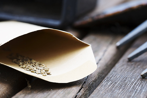 포토 JPG 해외이미지 식물 계절 음식 농업 채소 가방 포장 탁자 사람없음 갈색 정원 봄 당근 원예 수납 국산 세련 해외202004 해외포토 잡화 산업 컬러 가구 뿌리채소 취미 파일형식 이미지허브