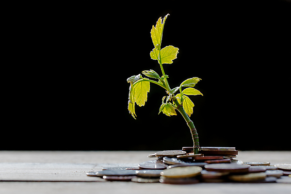 포토 JPG 해외이미지 식물 돈 비즈니스 자연 추상 사람없음 목재 달러 동전 희망 유로 성장 조끼 변화 오브젝트 파운드 금괴 수목 해외202004 해외포토 나무 감정 컨셉 무늬 재료 외투 재산 황금 생태계 파일형식 이미지허브