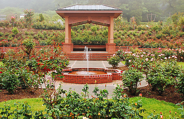 포토 JPG 해외이미지 식물 공원 꽃 벽돌 사람없음 야외 물 장미 계단 정원 분수 분무기 단계 땅바닥 해외202004 해외포토 자연요소 공공시설 바닥 파일형식 이미지허브