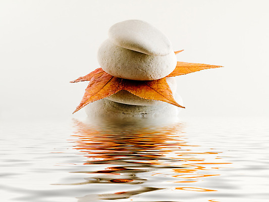 포토 JPG 해외이미지 식물 선 컨셉 잎 자연 휴식 스트레스 해변 사람없음 물 반사 평화 스파 화목 거울 성장 가을 조약돌 물방울 신선 마사지 시원함 소중 순수 명상 테라피 정맥 잔물결 해외202004 해외포토 자연요소 계절 물결 바다 뷰티 돌_바위 생태계 혈관 파일형식 이미지허브