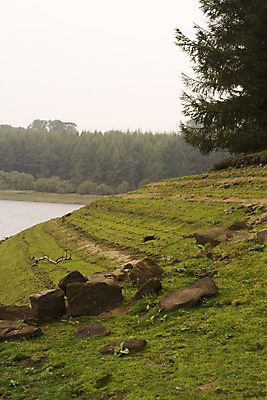 포토 JPG 해외이미지 나무 호수 자연 풍경 사람없음 물 저수지 숲 암초 삼림지대 해외202004 해외포토 자연요소 식물 생태계 파일형식 이미지허브