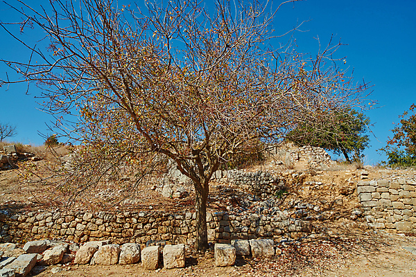 포토 JPG 해외이미지 공원 벽 여행 건축양식 창문 하늘 풍경 사람없음 건물 문 탑 골동품 바위 성 역사 숲 이슬람교 땅 묘사 폐허 아치 장면 북쪽 내추럴 고고학 옛날 이스라엘 전국 해외202004 해외포토 건축물 공공시설 교육 건축 종교 돌_바위 방향 서아시아 파일형식 이미지허브