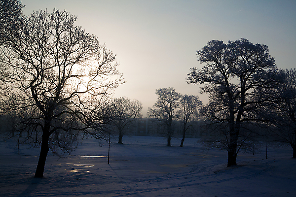 포토 JPG 해외이미지 겨울 아침 풍경 사람없음 태양 맑음 냉동 얼음 추위 12월 서리 폴란드 1월 2월 해외202004 해외포토 주간 자연요소 계절 유럽 날씨 날짜 파일형식 이미지허브