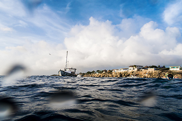 포토 JPG 해외이미지 동물 바다 백그라운드 패턴 하늘 사람없음 파란색 보트 다이빙 해외202004 해외포토 컬러 무늬 배_교통 수영 수중스포츠 파일형식 이미지허브