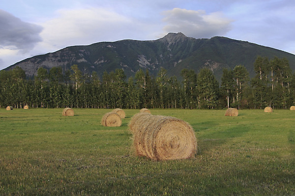 포토 JPG 해외이미지 구름 밭 농업 풍경 사람없음 초록색 노란색 황혼 볏짚 저녁 해외202004 해외포토 자연요소 산업 컬러 일몰 짚 야간 파일형식 이미지허브