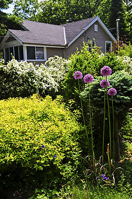 포토 JPG 해외이미지 디자인 외관 꽃 건축양식 주택 잔디 사람없음 야외 장식 여름 정원 매력적 개화 재산 원예 조경 뒤뜰 엘리먼트 진짜 해외202004 해외포토 식물 계절 건축 컨셉 취미 건물 금융 파일형식 이미지허브