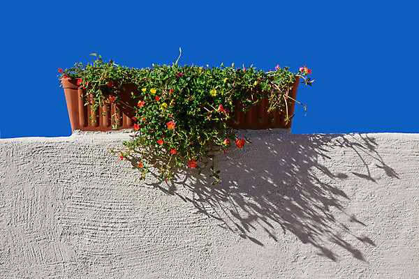 포토 JPG 해외이미지 식물 꽃 화분 분홍색 잎 하늘 그림자 사람없음 야외 장식 초록색 파란색 햇빛 평화 맑음 침묵 벚꽃 흰색 개화 지중해 묘사 명상 오브젝트 내추럴 해외202004 해외포토 바다 컬러 컨셉 날씨 태양 소리 파일형식 이미지허브