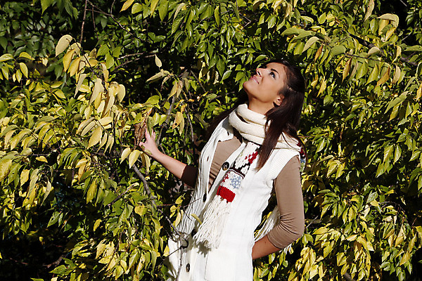 포토 JPG 해외이미지 나무 공원 여자 잎 자연 휴식 한명 사람 야외 기쁨 아내 해외202004 해외포토 식물 1 공공시설 감정 컨셉 생태계 파일형식 이미지허브