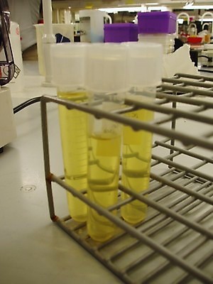 포토 JPG 해외이미지 서기 사람없음 생명공학 삼각대 신발장 해외202004 해외포토 의학 모션 파일형식 이미지허브