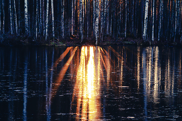 포토 JPG 해외이미지 나무 계절 실루엣 백그라운드 오렌지 자연 그림자 풍경 사람없음 야외 목재 물 빛 강 컬러풀 햇빛 태양 반사 갈색 노란색 환경 일몰 광선 가을 나뭇가지 황금 저녁 숲 강가 내추럴 해외202004 해외포토 자연요소 식물 컬러 과일 재료 촬영기법 노을 야간 생태계 파일형식 이미지허브