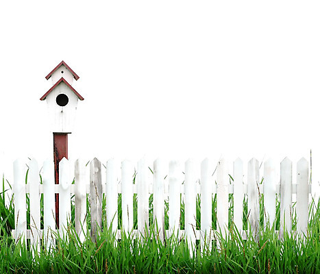 포토 JPG 해외이미지 디자인 계절 백그라운드 컨셉 잎 패턴 밭 자연 조류 지붕 주택 풍경 잔디 사람없음 야외 목재 초록색 여름 울타리 상자 농장 환경 정원 봄 흰색 보호 새장 고립 평야 수평선 해외202004 해외포토 나무 식물 동물 컬러 무늬 농업 재료 건물 담장 생태계 케이지 파일형식 이미지허브