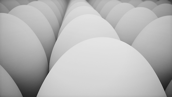 포토 JPG 해외이미지 동물 음식 백그라운드 돈 재료 자연 건강 사람없음 가로 상자 갈색 계란 식사 껍질 흰색 신선 그룹 황금 아침식사 나무상자 컨테이너 먹기 오브젝트 유기농 날것 패키지 노른자 판지 고립 줄서기 해외202004 해외포토 웰빙 산업 컬러 모션 알 재산 생태계 파일형식 이미지허브