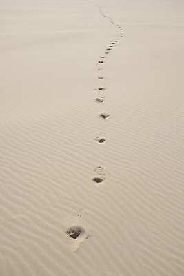 포토 JPG 해외이미지 모래 파도 바다 여행 백그라운드 패턴 자연 휴가 휴식 사람없음 야외 물 여름 컬러풀 노란색 일몰 서핑 고독 질감 열대기후 잔물결 카피스페이스 해외202004 해외포토 자연요소 계절 감정 물결 컬러 컨셉 무늬 노을 공백 수상스포츠 생태계 파일형식 이미지허브