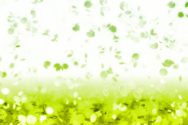 JPG 해외이미지 꽃잎 꽃 백그라운드 일러스트 사람없음 연두색 그라데이션 카피스페이스 해외202004 해외일러스트 식물 초록색 공백 파일형식 이미지허브