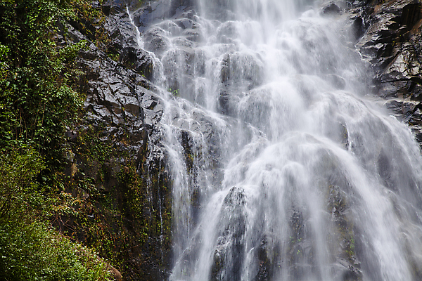 포토 JPG 해외이미지 나무 식물 공원 백그라운드 잎 태국 자연 건강 풍경 사람없음 목재 초록색 물 빛 강 봄 폭포 바위 신선 개울 숲 시원함 순수 질감 내추럴 깊이 해외202004 해외포토 자연요소 계절 공공시설 아시아 컬러 컨셉 재료 돌_바위 생태계 파일형식 이미지허브