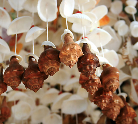 포토 JPG 해외이미지 동물 디자인 바다 백그라운드 자연 벽지 모바일 조개 종류 해변 사람없음 내부 장식 껍질 원형 혼합 옷걸이 공예 질감 내추럴 핸드메이드 해외202004 해외포토 도형 어패류 취미 생태계 파일형식 이미지허브