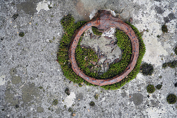 포토 JPG 해외이미지 식물 접시 날씨 손잡이 이끼 사람없음 금속 바위 무덤 반지 원형 역사 철 묘사 부식 리프트 판 거짓말 리프팅 썩음 옛날 해외202004 해외포토 도형 식기 장신구 재질 돌_바위 파일형식 이미지허브