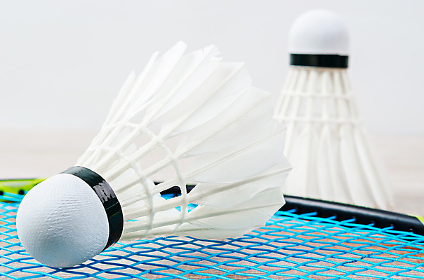 포토 JPG 해외이미지 직업 선 줄 스포츠 포즈 백그라운드 놀이 바닥 실내 경기 사람없음 초록색 빛 세트 우주 검은색 경쟁 공백 장비 게임 흰색 라켓 닫기 묘사 배드민턴 추적 무료 법정 토너먼트 해외202004 해외포토 스포츠용품 컬러 컨셉 모션 내부 구기 파일형식 이미지허브