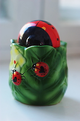 포토 JPG 해외이미지 사람없음 장식 빨간색 초록색 꽃병 싱글 고립 해외202004 해외포토 꽃 컬러 파일형식 이미지허브