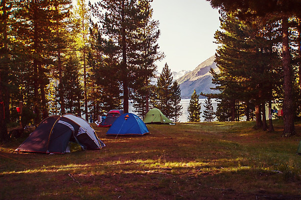 포토 JPG 해외이미지 나무 라이프스타일 공원 행복 길 여행 백그라운드 가족 자연 하늘 아침 휴가 산 따뜻함 텐트 사람 풍경 사람없음 야외 초록색 여름 빛 달리기 햇빛 태양 평화 걷기 일출 환경 맑음 일몰 봄 트래킹 하이킹 안개 가을 숲 내추럴 혼자 힙스터 해외202004 해외포토 주간 자연요소 식물 계절 공공시설 패션 감정 컬러 컨셉 관계 모션 레저 날씨 캠핑도구 생활 노을 생태계 파일형식 이미지허브