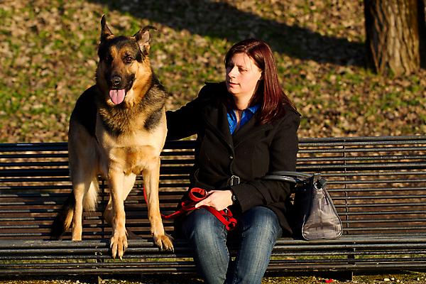 포토 JPG 해외이미지 주간 공원 여자 벤치 한명 앉기 상반신 성인 야외 앞모습 반려동물 잡기 개 강아지 사냥개 목줄 셰퍼드 성인여자한명만 해외202004 해외포토 자연요소 동물 1 공공시설 뷰포인트 의자 포유류 모션 사람 여자한명만 성인여자만 파일형식 반려용품 이미지허브