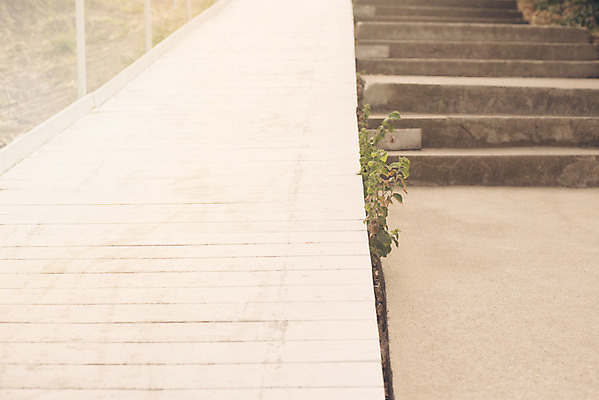 포토 JPG 해외이미지 길 모래 파도 바다 섬 여행 백그라운드 자연 하늘 휴가 휴식 바닥 풍경 사람없음 목재 물 여름 파란색 평화 우주 일출 항구 일몰 산책 산책로 널 방파제 질감 장면 북쪽 파라다이스 수평선 해외202004 해외포토 자연요소 나무 계절 공공시설 컬러 컨셉 재료 교통시설 노을 방향 생태계 파일형식 이미지허브