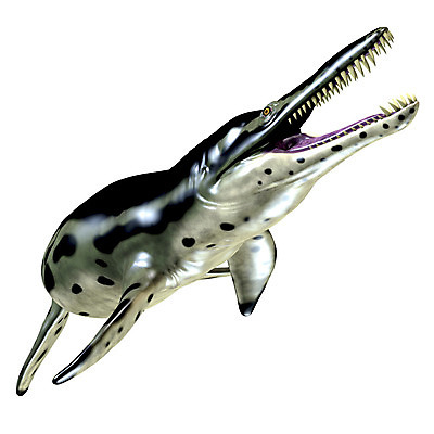 포토 JPG 해외이미지 동물 척추동물 야생동물 바다 일러스트 생물 사람없음 수중 수영 치아 큼 공룡 그림 도마뱀 육식동물 멸종 선사시대 거인 물갈퀴 힘찬 해외202004 해외포토 컨셉 파충류 수상스포츠 소화기관 역사 크기 파일형식 이미지허브