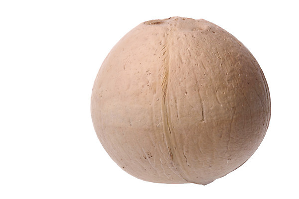 포토 JPG 해외이미지 음료 음식 농업 다이어트 과일 자연 건강 사람없음 신선 닫기 달콤 맛 코코넛 고립 숙성 이국적 해외202004 해외포토 산업 컨셉 모션 생태계 파일형식 이미지허브