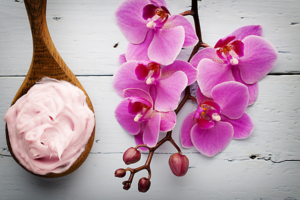 포토 JPG 해외이미지 식물 꽃잎 꽃 줄기 분홍색 백그라운드 자연 사람없음 스파 침묵 봄 난초 오브젝트 장면 해외202004 해외포토 계절 컬러 소리 생태계 파일형식 이미지허브