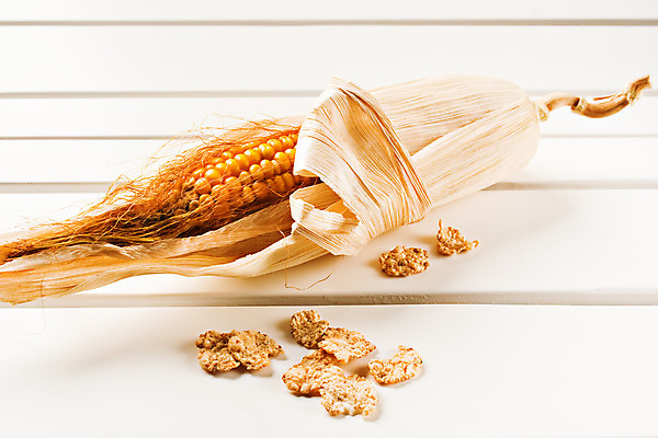 포토 JPG 해외이미지 음식 백그라운드 농업 다이어트 채소 자연 건강 옥수수 사람없음 빛 노란색 흰색 신선 황금 달콤 맛 낟알 유기농 질감 날것 내추럴 고립 채식주의자 해외202004 해외포토 웰빙 산업 컬러 컨셉 곡류 생태계 채식 파일형식 이미지허브