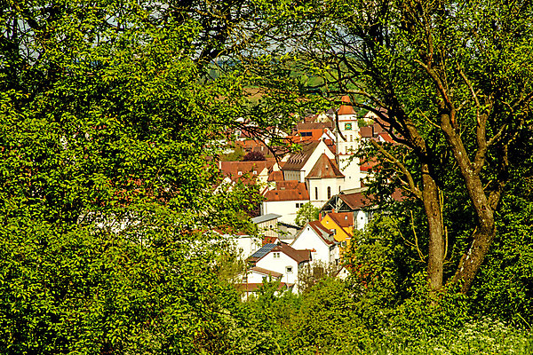 포토 JPG 해외이미지 나무 자연 주택 프레임 독일 파노라마 사람없음 초록색 교회 평화 마을 봄 시골 해외202004 해외포토 식물 계절 유럽 컬러 컨셉 종교건축 촬영기법 건물 생태계 파일형식 이미지허브