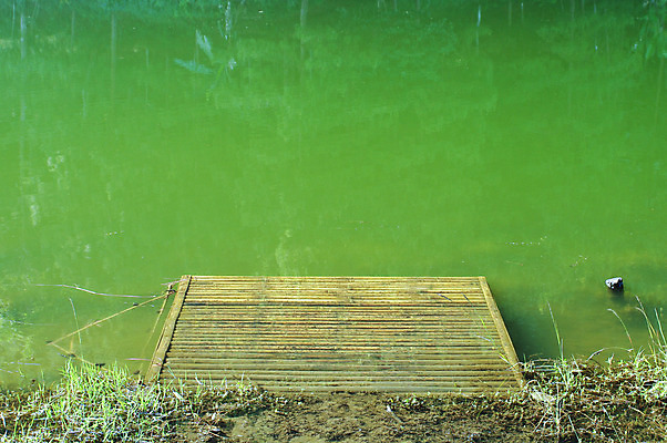 포토 JPG 해외이미지 공원 호수 겨울 태국 자연 날씨 휴가 휴식 산 사람없음 목재 초록색 물 여름 파란색 반사 평화 계곡 수영 추위 콜롬비아 숲 은퇴 순수 빙하 에메랄드 북쪽 뗏목 전국 파라다이스 해외202004 해외포토 자연요소 나무 계절 공공시설 아시아 교통수단 컬러 컨셉 배_교통 재료 수상스포츠 남아메리카 보석 방향 생태계 파일형식 이미지허브