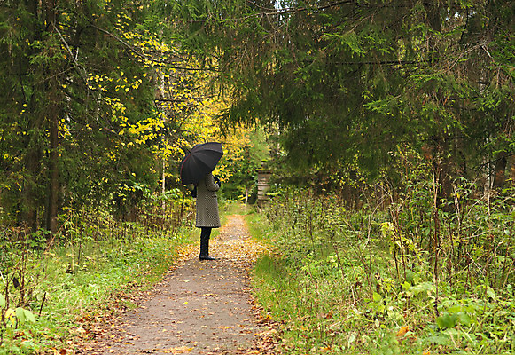 포토 JPG 해외이미지 나무 1 라이프스타일 공원 길 컨셉 잎 우산 자연 아침 미래 휴식 건강 사람 풍경 사람없음 야외 초록색 빛 갈색 노란색 유행 산책 가을 변화 방법 줄서기 혼자 해외202004 해외포토 주간 식물 계절 공공시설 컬러 모션 생활 생태계 파일형식 이미지허브