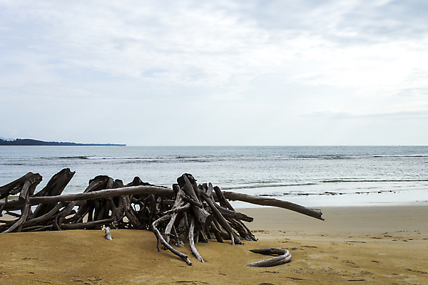포토 JPG 해외이미지 나무 구름 계절 모래 파도 바다 섬 여행 백그라운드 벽지 하늘 휴가 휴식 풍경 사람없음 야외 목재 물 여름 파란색 평화 나뭇가지 죽음 만 내추럴 옛날 해외202004 해외포토 자연요소 식물 컬러 컨셉 재료 파일형식 이미지허브
