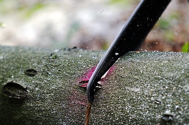 포토 JPG 해외이미지 사람없음 목재 기계 장비 공구 작업 자르기 날카로움 벌목 전기톱 커터 톱질 해외202004 해외포토 나무 재료 모션 도구 톱 파일형식 이미지허브