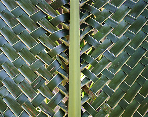 포토 JPG 해외이미지 전통 디자인 바다 섬 백그라운드 컨셉 잎 패턴 자연 손바닥 미술 동양인 사람없음 초록색 일본 스파 매트 덮개 닫기 묘사 유기농 질감 코코넛 섬유 밀짚 짜임 대각선 내추럴 엮은 지그재그 핸드메이드 해외202004 해외포토 식물 손 웰빙 아시아 선 컬러 무늬 과일 모션 문화예술 인종 뚜껑 직물 짚 생태계 파일형식 이미지허브