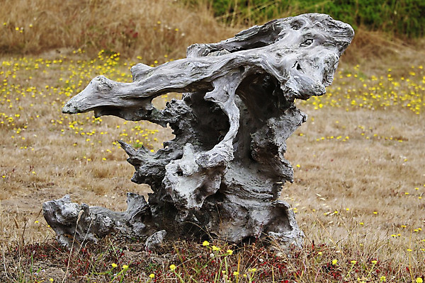 포토 JPG 해외이미지 나무 식물 디자인 줄기 백그라운드 부분 자연 표면 건조 사람없음 목재 갈색 성장 나뭇가지 죽음 거친 숲 오브젝트 폐허 싱글 질감 뿌리 나무껍질 담배꽁초 가뭄 섬유 썩음 옛날 해외202004 해외포토 컬러 재료 날씨 담배 껍질 직물 생태계 파일형식 이미지허브