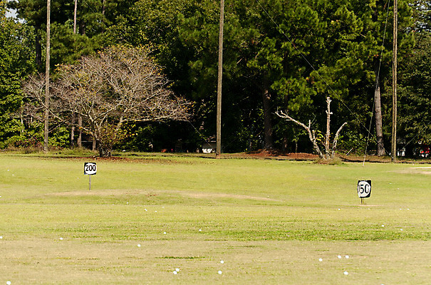 포토 JPG 해외이미지 라이프스타일 스포츠 골프 공 자연 놀이 골프공 거리 잔디 사람없음 야외 초록색 숫자 운전 게임 강의 연습 측정 때리기 해외202004 해외포토 식물 문자 컬러 모션 골프용품 생활 구기 생태계 파일형식 이미지허브