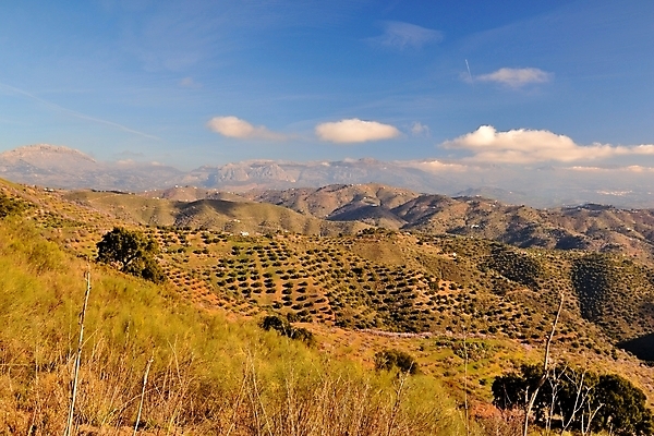 포토 JPG 해외이미지 유럽 건축양식 자연 아침 지붕 산 주택 파노라마 풍경 경사 사람없음 건물 여름 태양 계곡 맑음 새벽 스페인 정상 언덕 속도 남쪽 스페인어 안달루시아 산맥 해외202004 해외포토 주간 자연요소 건축물 계절 건축 나라 날씨 촬영기법 방향 생태계 파일형식 이미지허브